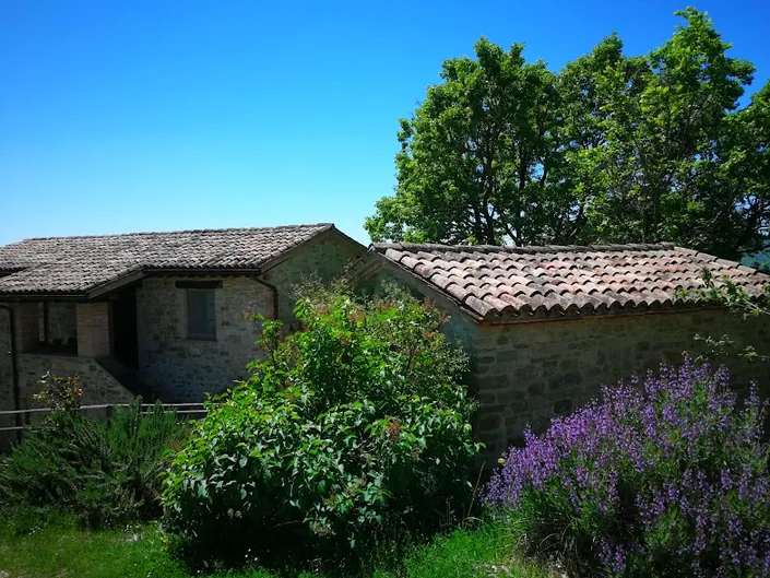 Agriturismo Caresto