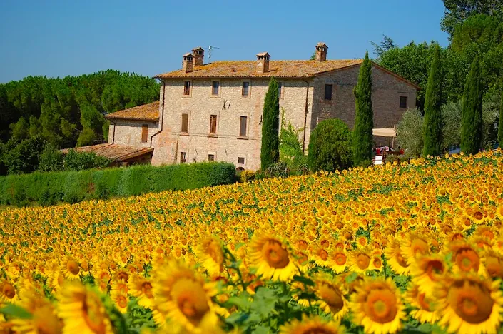Agriturismo Casale dei Frontini