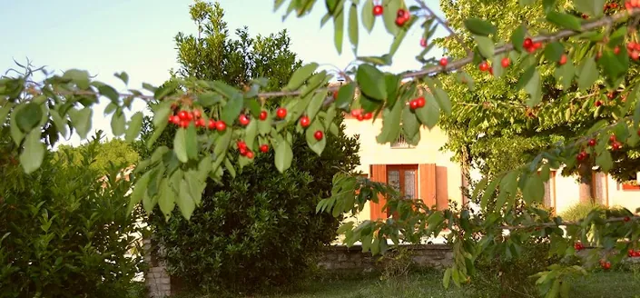 Agriturismo Collina dei Fagiani