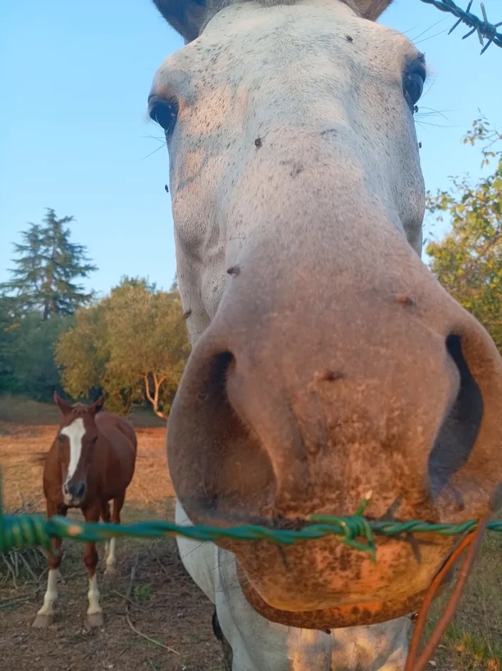 Agriturismo “Hortus Artis”