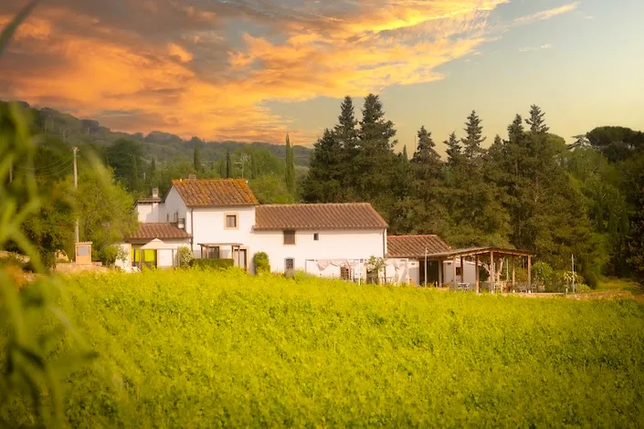 Agriturismo I Colli di Marliano – Alpaca
