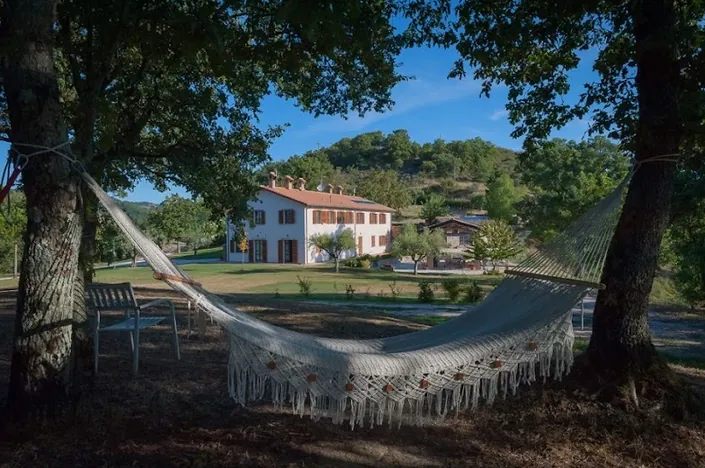 Agriturismo il Beccafico alpaca