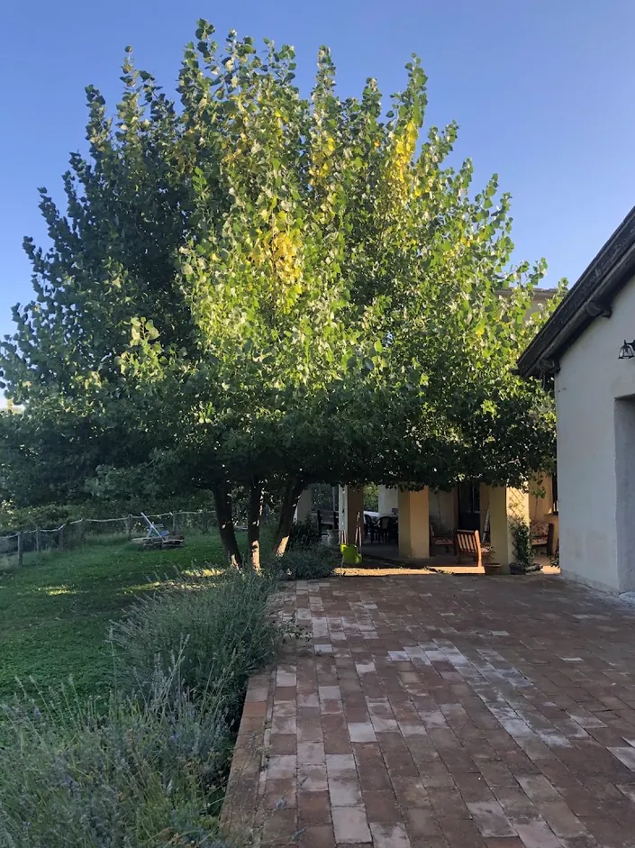 Agriturismo Il Covo del Solengo