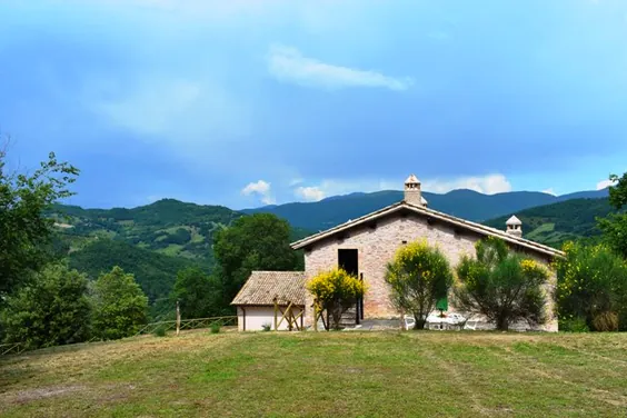 Agriturismo Il Loppo, your Home in the Woods