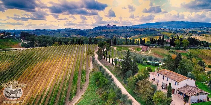 Agriturismo Il Vecchio Maneggio