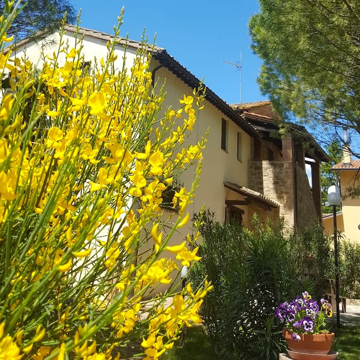 Agriturismo La Ginestrella