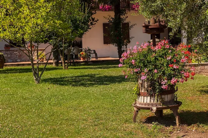 Agriturismo La Panoramica