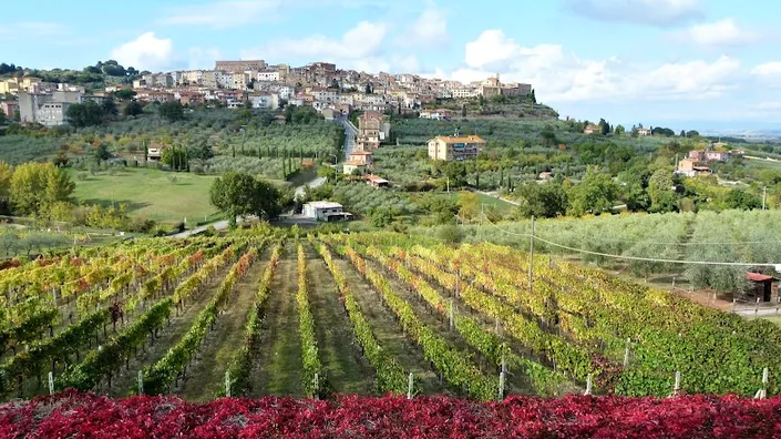 Agriturismo La Pietriccia