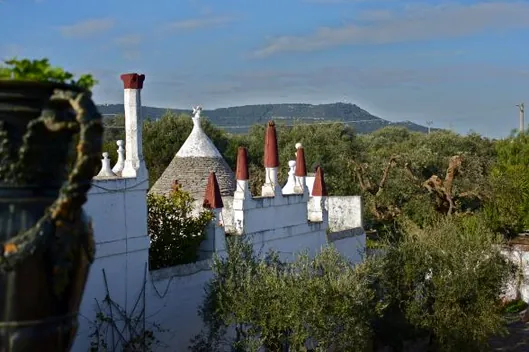 Agriturismo Masseria Vagone