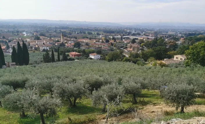 Agriturismo Monte Oliveto