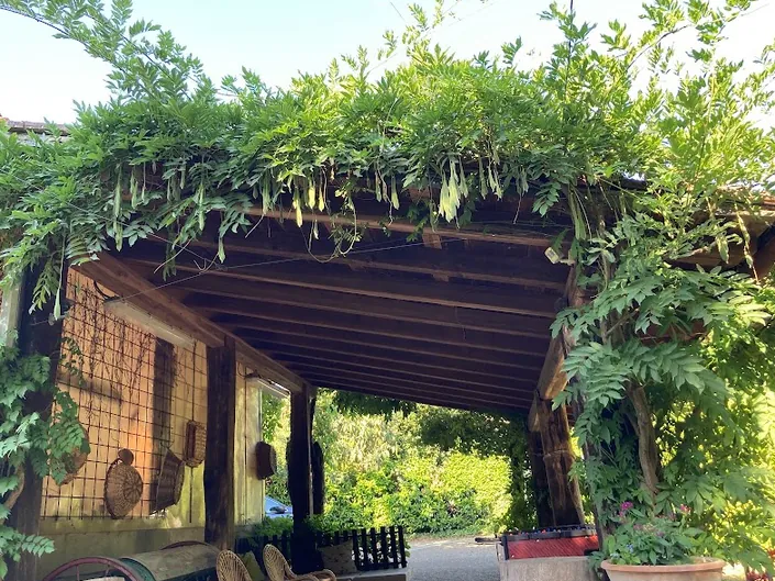Agriturismo Podere i’ Caldino