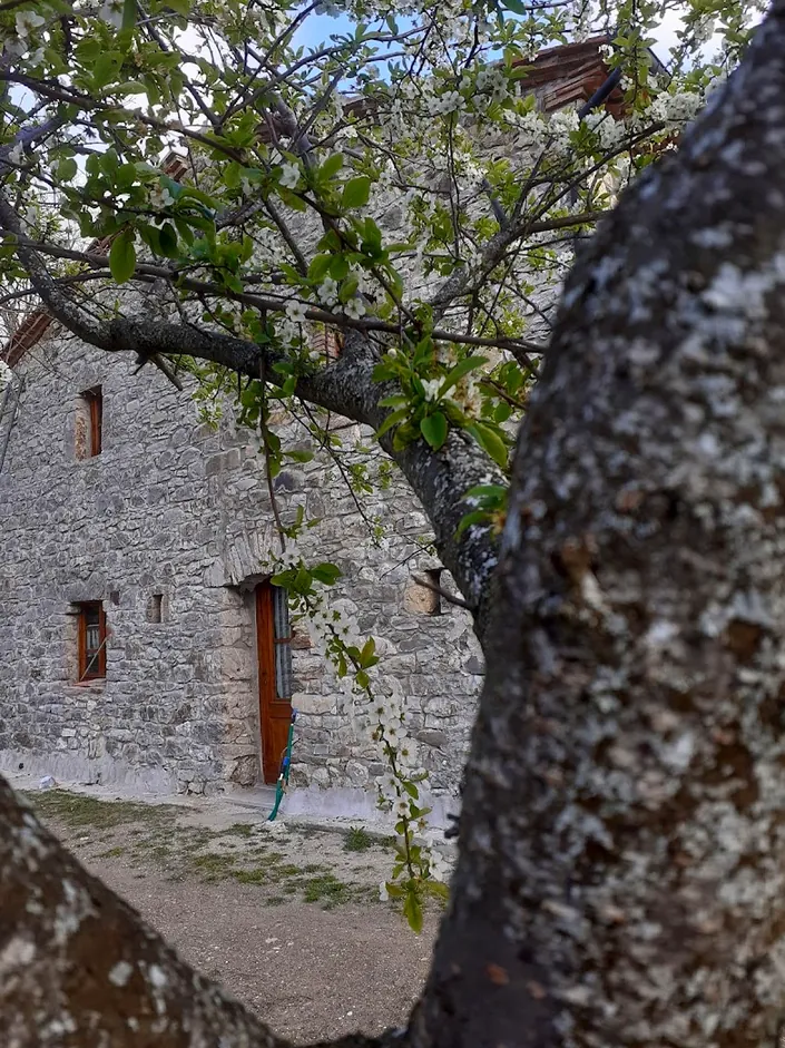 Agriturismo Poggio alla Luna