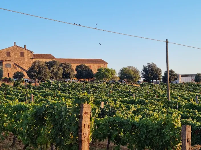 agriturismo Scalabrelli