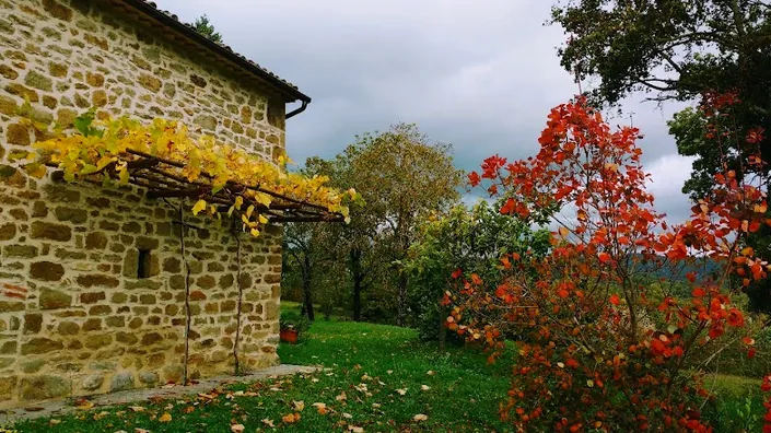Agriturismo Selvadonica