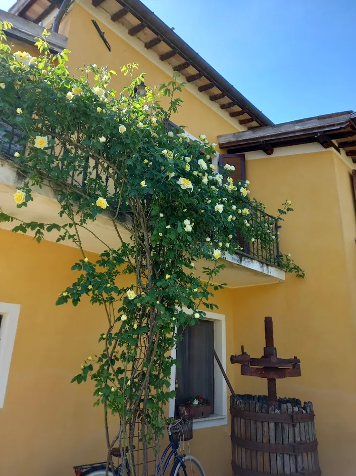 Agriturismo Stovali Da Lustrinu