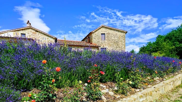 Borgo Macereto