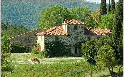 Fattoria Il Trebbio