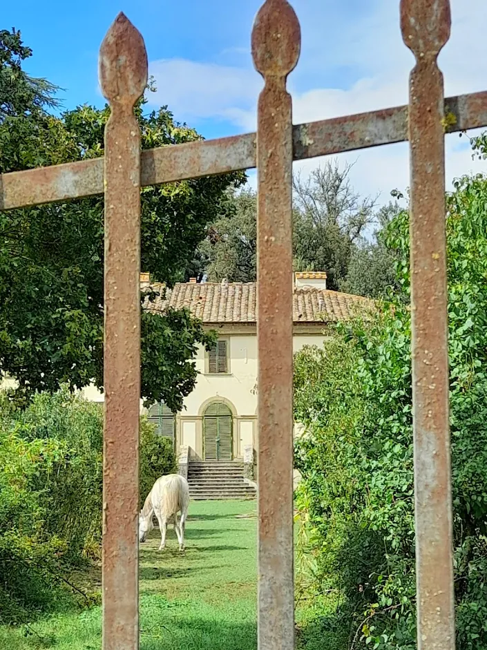 Fattoria Isola – Maneggio con Piscina