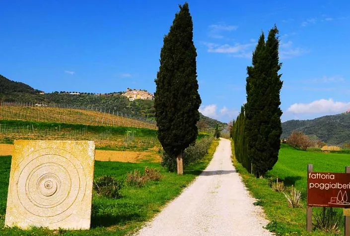 Fattoria Poggialberi di Manuela Tartagli, Loc.Poggialberi