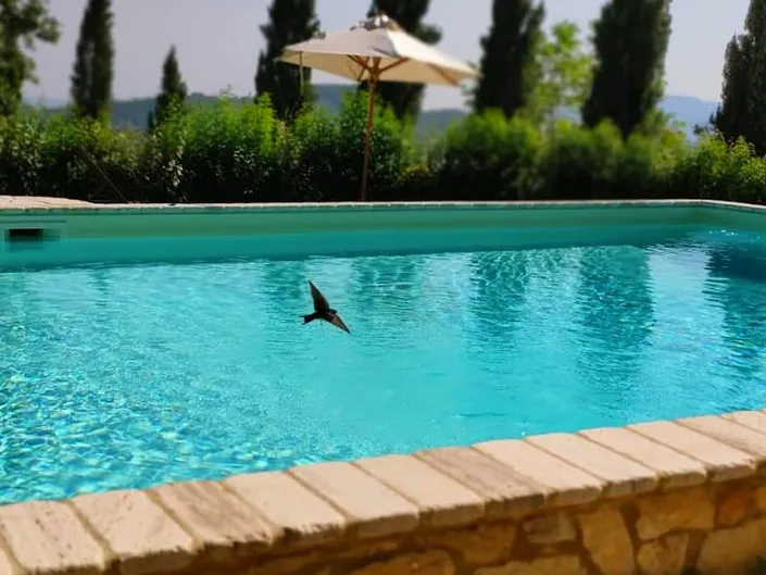 Il Borgo Del Lupo Relax Family Apartments in Tuscany with Restaurant & Swimming Pool