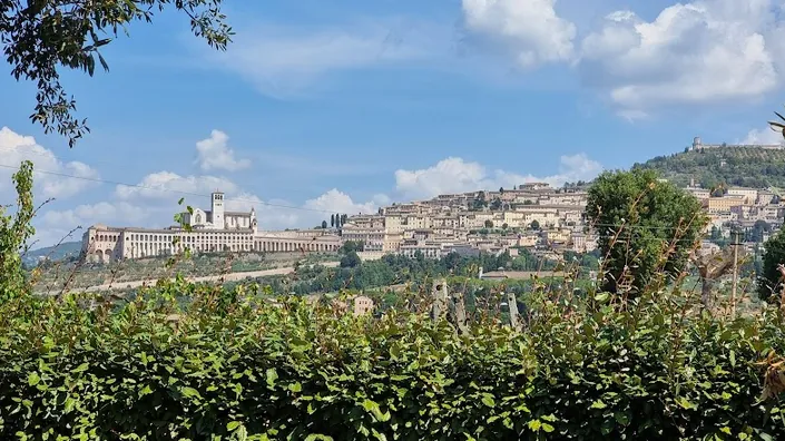Il Podere del Falco – Agriturismo Assisi