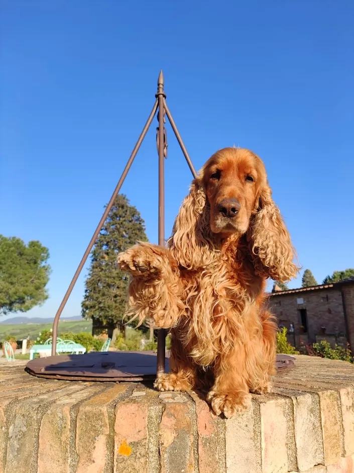 Il Poggiarello Agriturismo