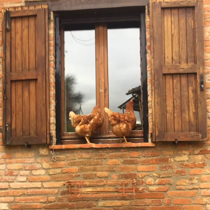 La Casina Bassa agriturismo biologico