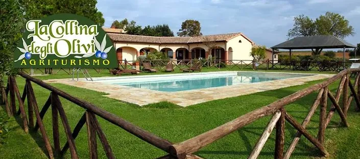 La Collina Degli Olivi