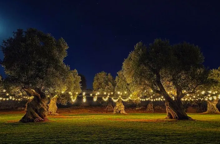 Masseria Anticalama Resort & agriturismo