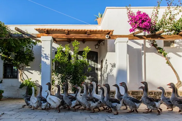 Masseria Parco di Castro I Ristorante I Agriturismo in Puglia