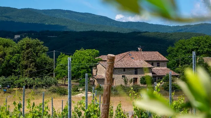 Podere Cerciano Villa e vino
