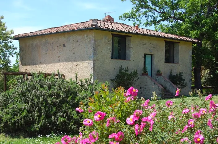 Podere Leccetro