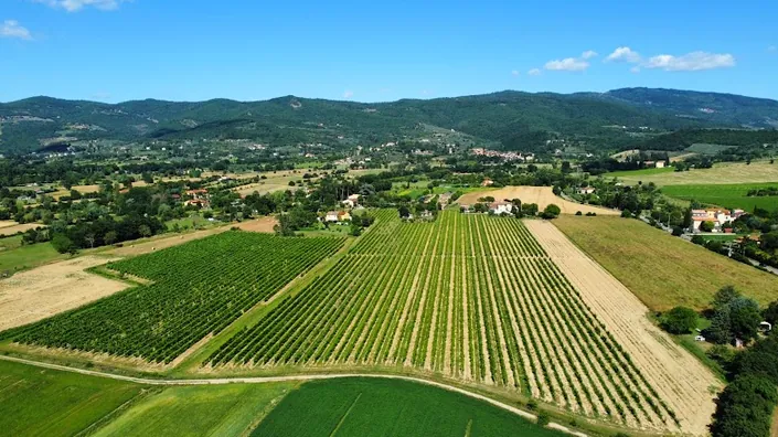 Tenuta La Cella