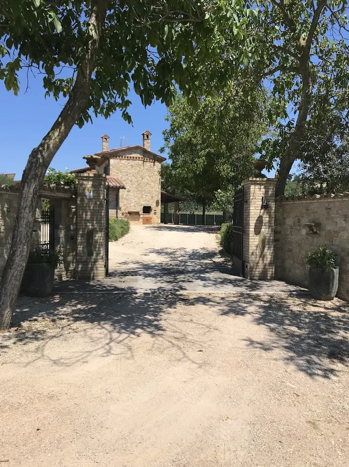 Todi Truffle